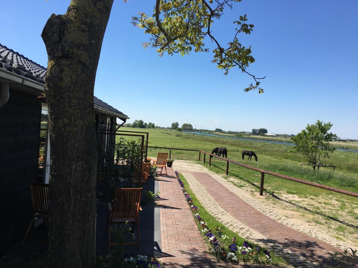 B&B De Donk Brandwijk Dış mekan fotoğraf